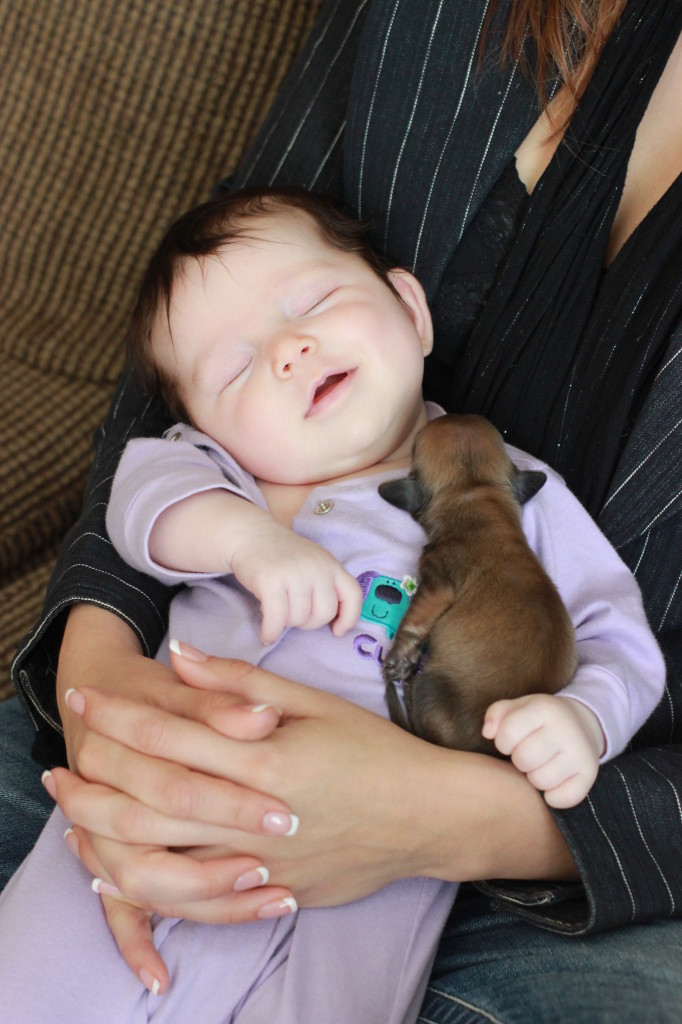 Can't get much cuter than babies and puppies!